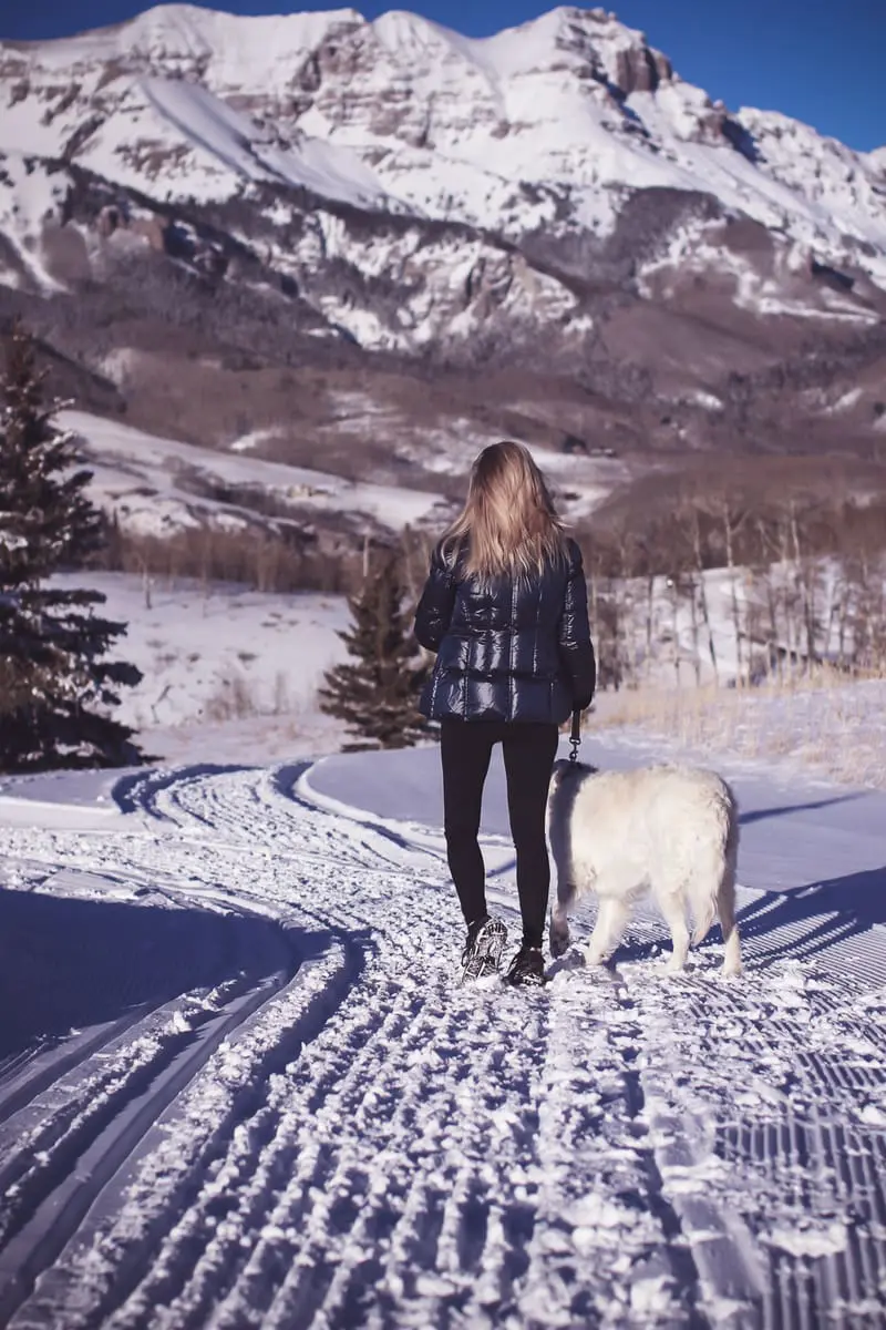 Fitness routine update, featuring activewear from eBay, SAM. New York puffer in midnight blue, black workout vest, white fleece pullover by Northface, and Zella tank on fashion blogger over 40, Erin Busbee, walking her dog, English golden retriever 