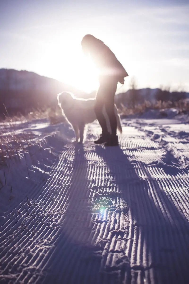 Fitness routine update, featuring activewear from eBay, SAM. New York puffer in midnight blue, black workout vest, white fleece pullover by Northface, and Zella tank on fashion blogger over 40, Erin Busbee, walking her dog, English golden retriever 