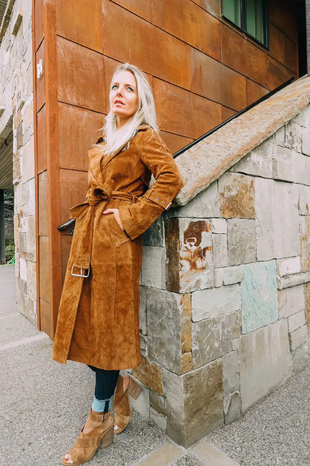 nordstrom anniversary sale public access 2018 picks