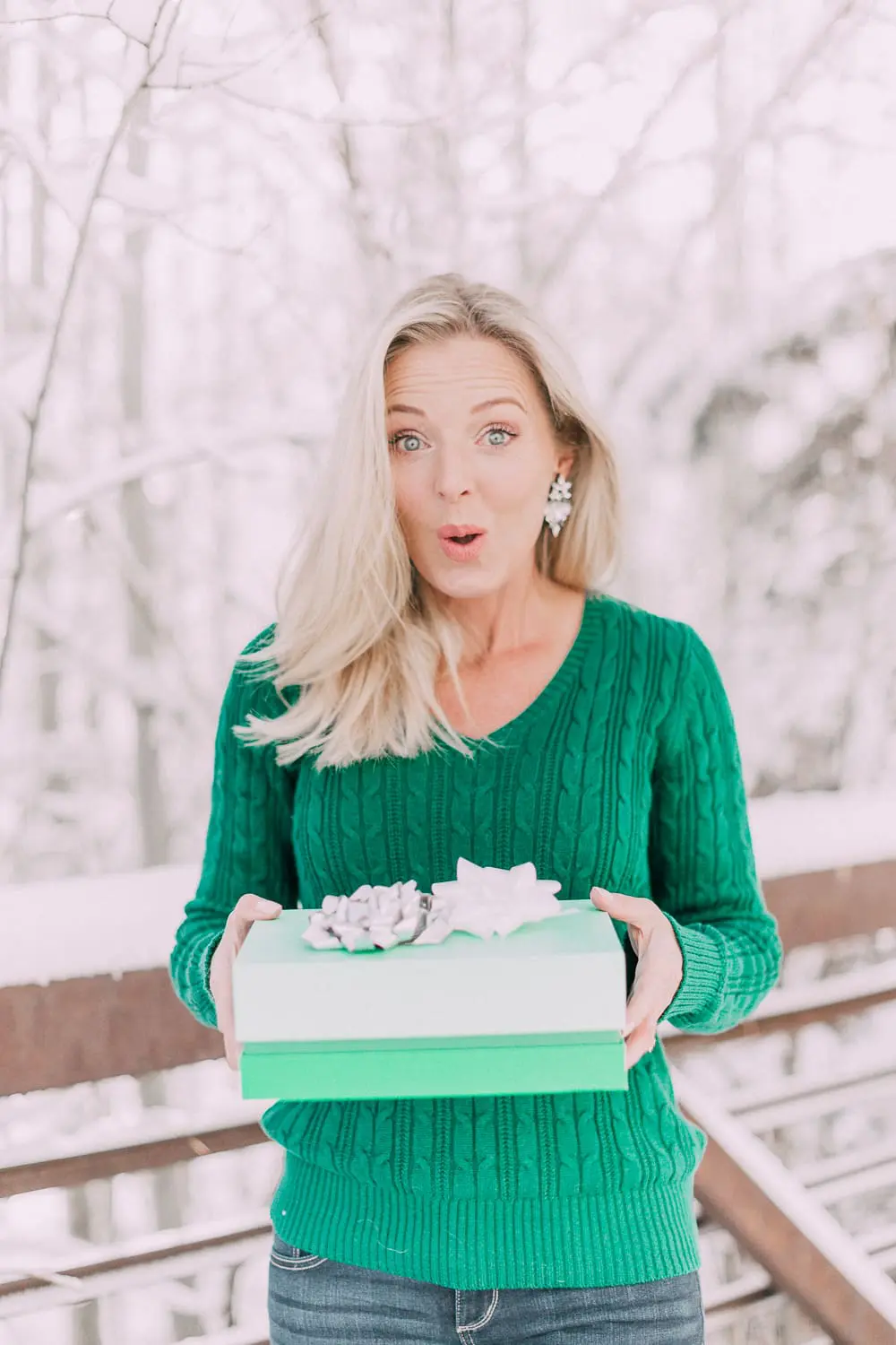 Holiday Giveaways and Holiday Gift Guides 2018 with fashion blogger Erin Busbee of BusbeeStyle.com