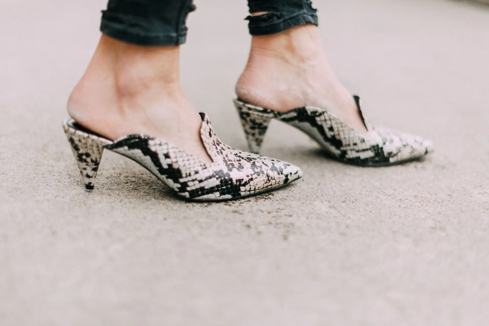 Vince Camuto python Cessilia mules