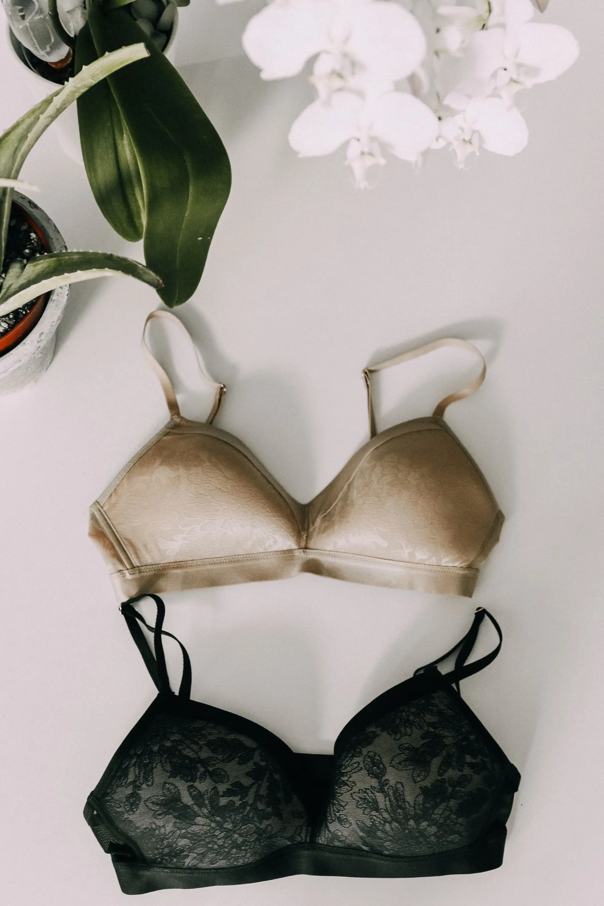 Wireless t-shirt bra by soma