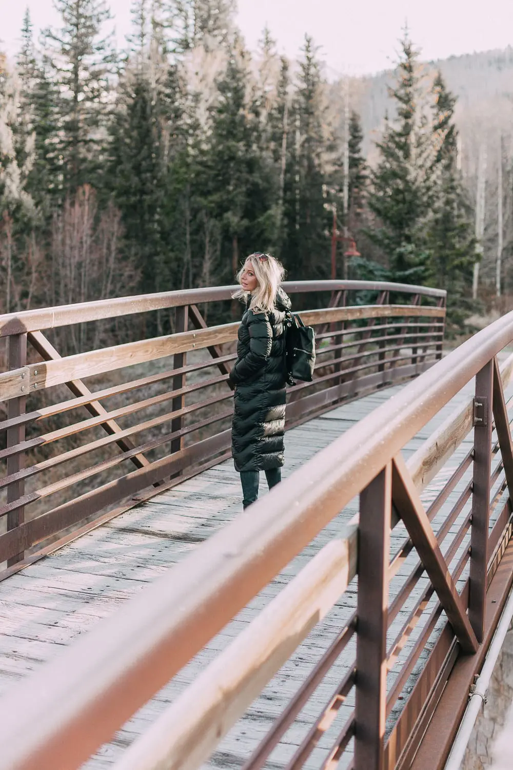 Best winter coats and jackets from nordstrom featuring Herno 