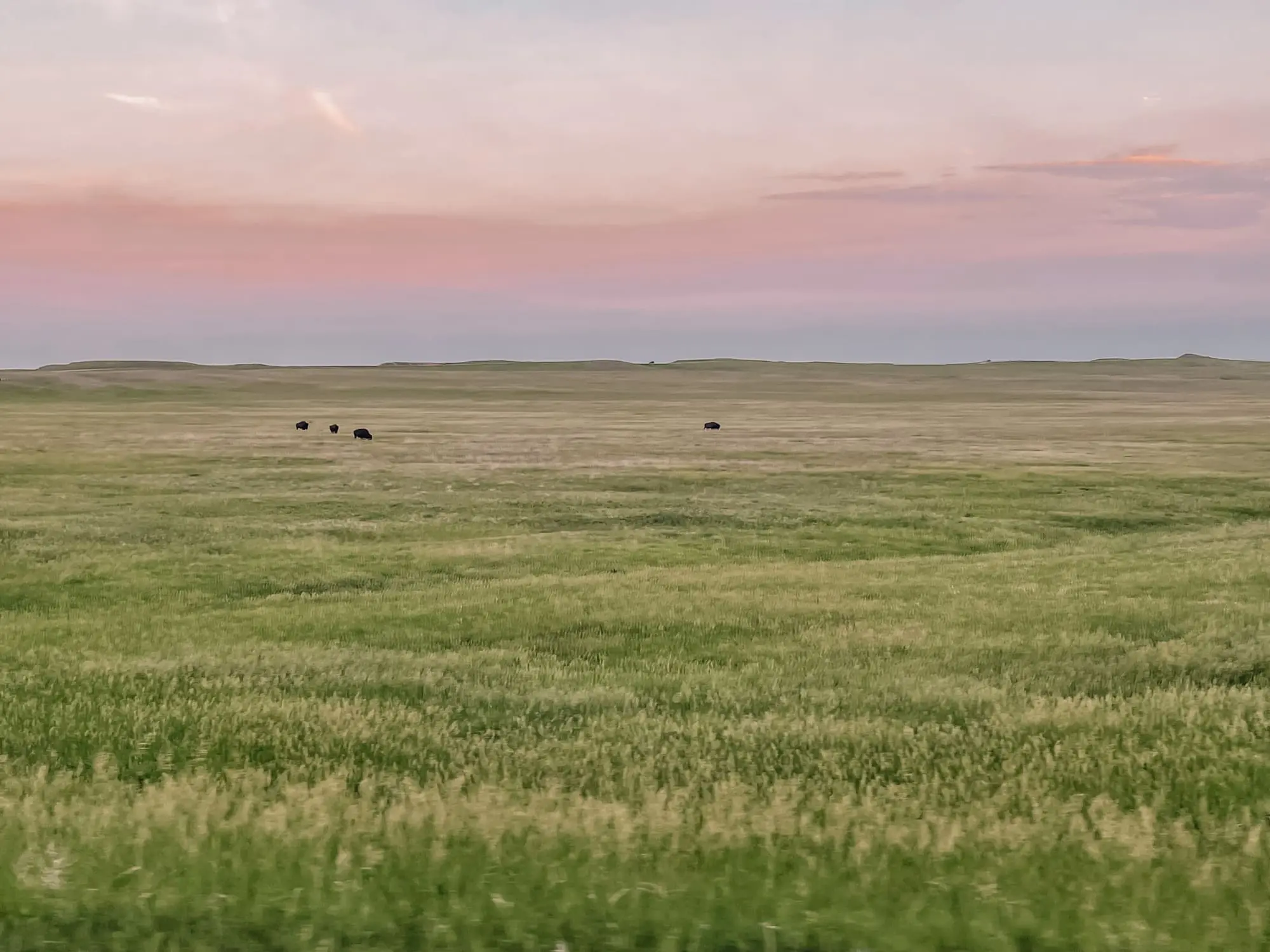 where to stop on a cross-country road trip, best places to stop on a cross country road trip, cross country road trip, west coast to east coast road trip, erin busbee, traveling with kids, how to travel with kids, how to travel with a dog, cross country road trip with kids, badlands national park, south dakota