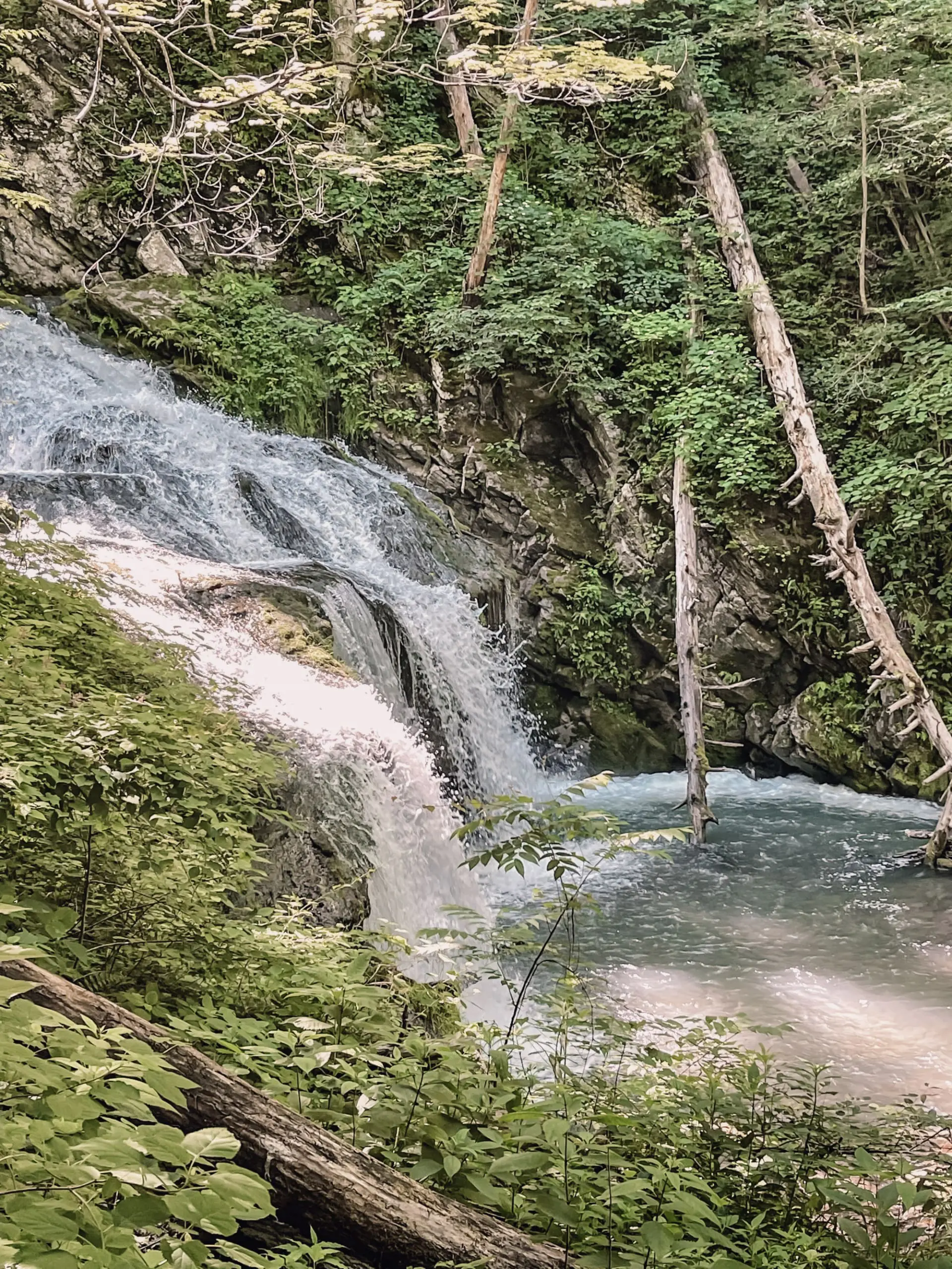 where to stop on a cross-country road trip, best places to stop on a cross country road trip, cross country road trip, west coast to east coast road trip, erin busbee, traveling with kids, how to travel with kids, how to travel with a dog, cross country road trip with kids, hot springs virginia, the omni homestead hotel, cascades gorge hike