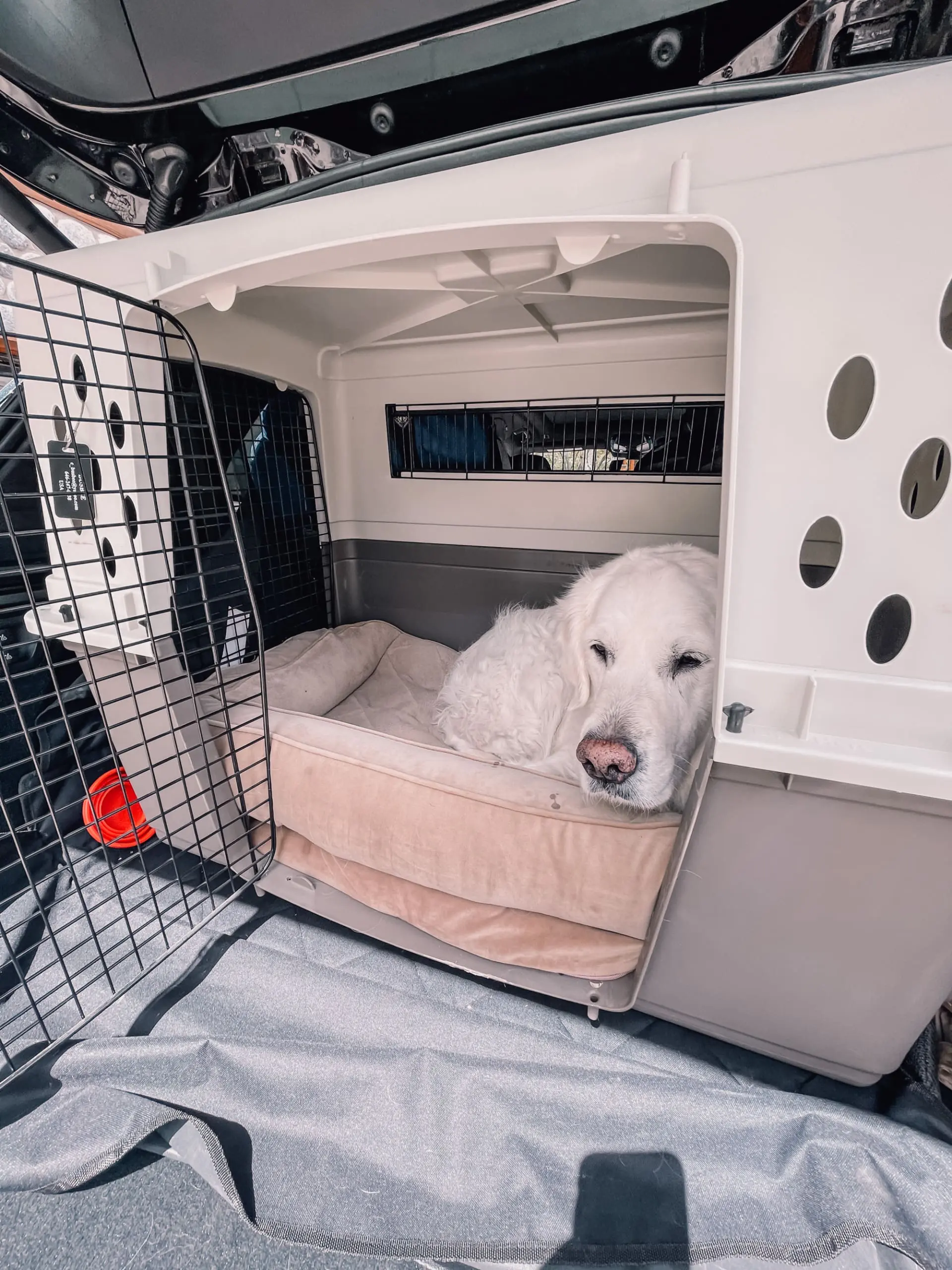 where to stop on a cross-country road trip, best places to stop on a cross country road trip, cross country road trip, west coast to east coast road trip, erin busbee, traveling with a dog, how to do a road trip with a dog, park city, utah