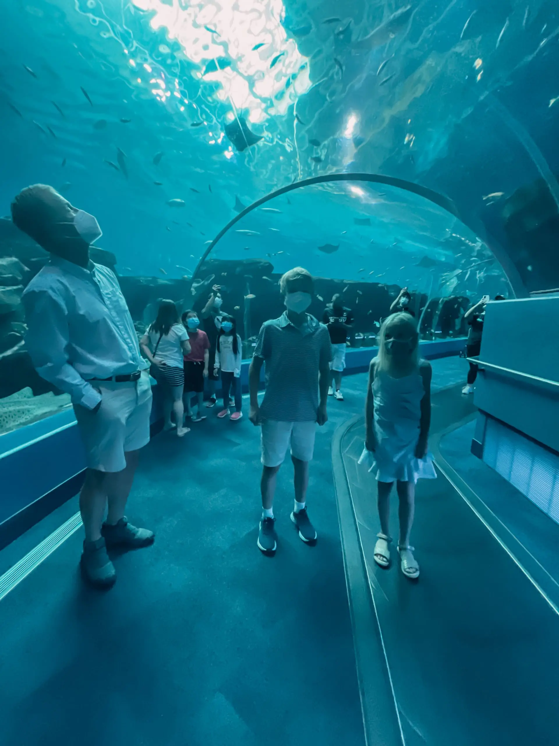 where to stop on a cross-country road trip, best places to stop on a cross country road trip, cross country road trip, west coast to east coast road trip, erin busbee, traveling with kids, how to travel with kids, how to travel with a dog, cross country road trip with kids, atlanta, georgia, georgia aquarium, cross country busbee style, family road trip