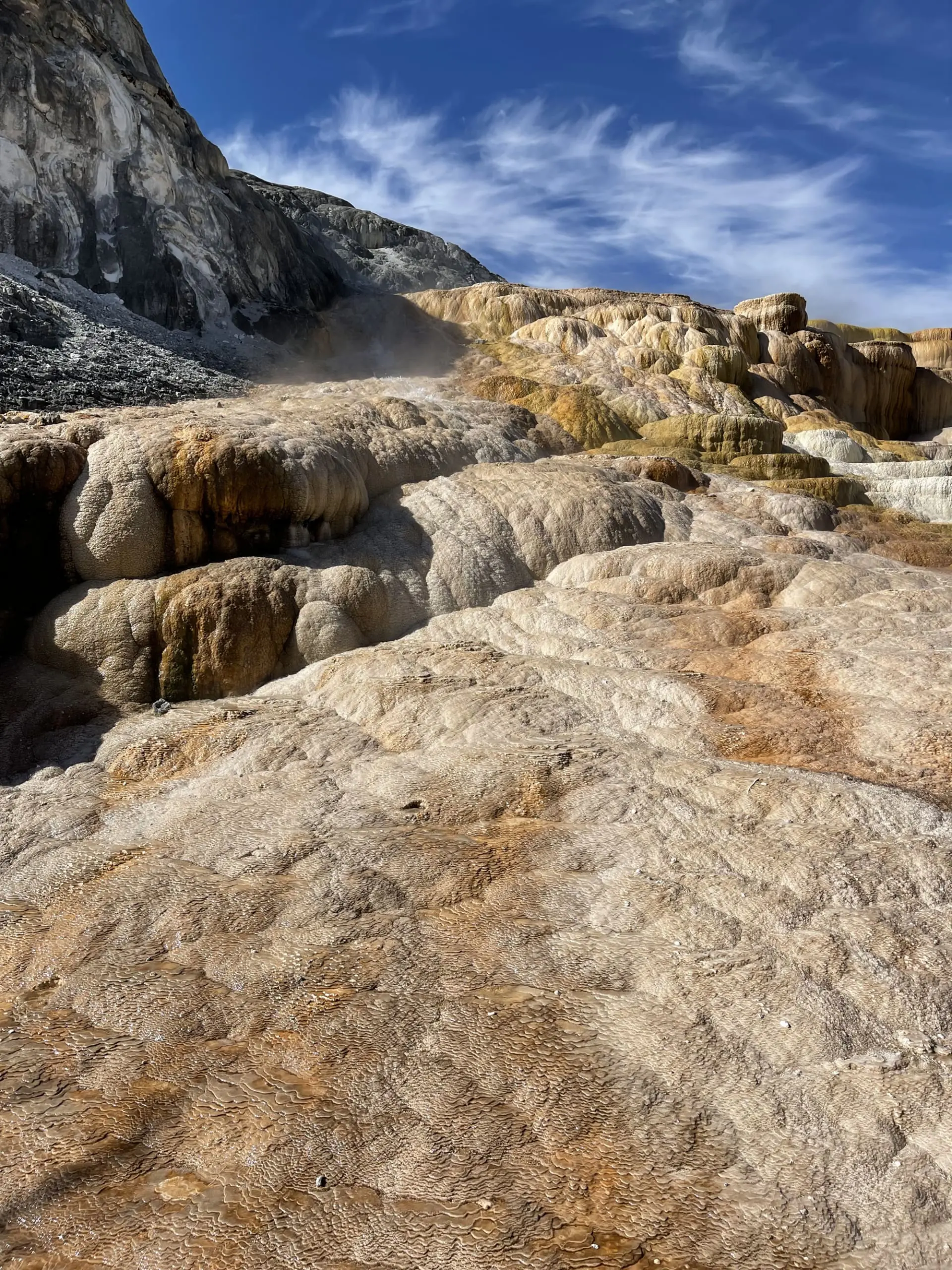 where to stop on a cross-country road trip, best places to stop on a cross country road trip, cross country road trip, west coast to east coast road trip, erin busbee, traveling with kids, how to travel with kids, how to travel with a dog, cross country road trip with kids, yellowstone national park