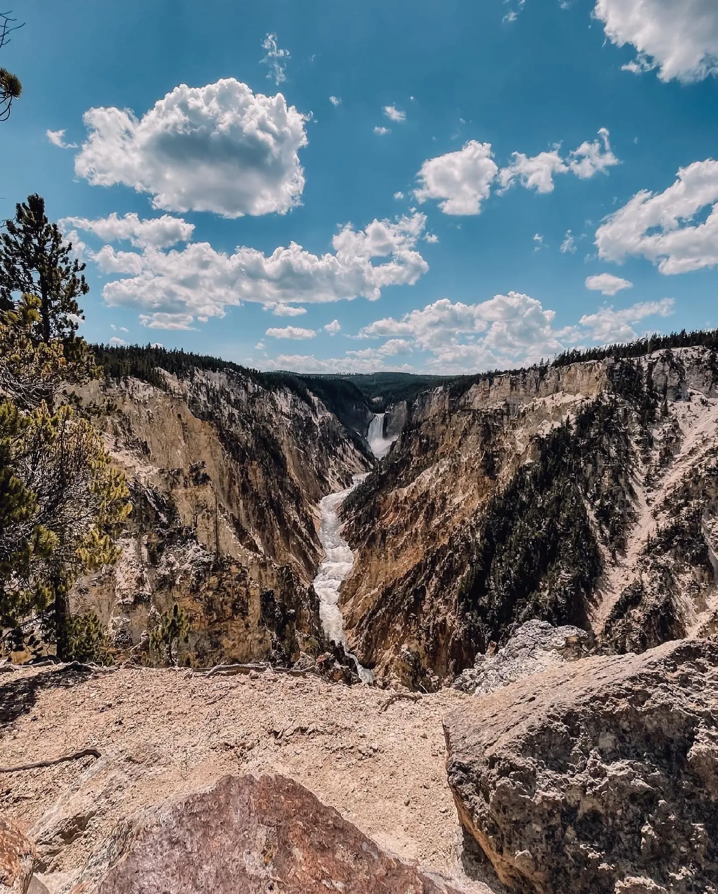 where to stop on a cross-country road trip, best places to stop on a cross country road trip, cross country road trip, west coast to east coast road trip, erin busbee, traveling with kids, how to travel with kids, how to travel with a dog, cross country road trip with kids, yellowstone national park