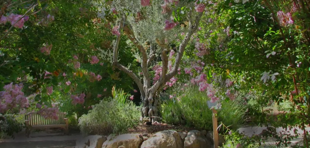 hoffman process retreat, wellness retreats