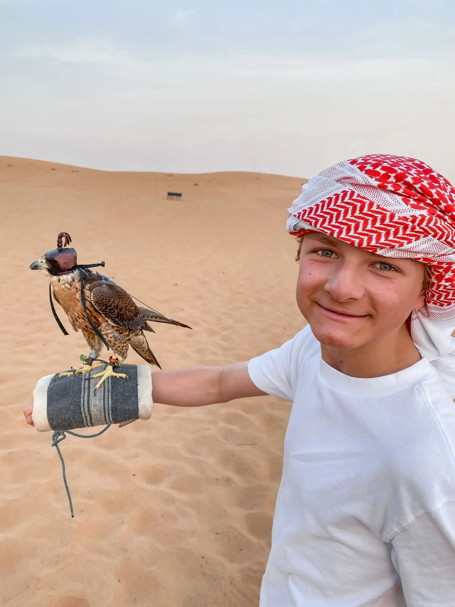 planning a trip to the middle east, where to go in the middle east, how to plan a trip to the middle east, dubai, united arab emirates, UAE, erin busbee, busbee style, busbee family travels, desert safari, platinum heritage desert safari, riding camels, falcons in the desert, hold falcon in desert, the empty quarter