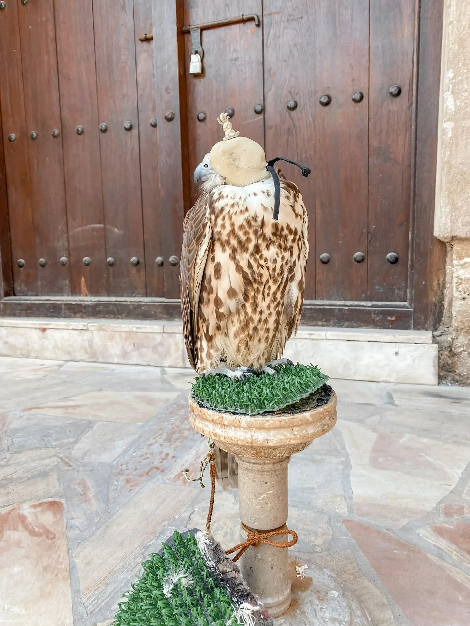 planning a trip to the middle east, where to go in the middle east, how to plan a trip to the middle east, dubai, united arab emirates, UAE, erin busbee, busbee style, busbee family travels, dubai city tour, touring old town dubai, falcons in dubai