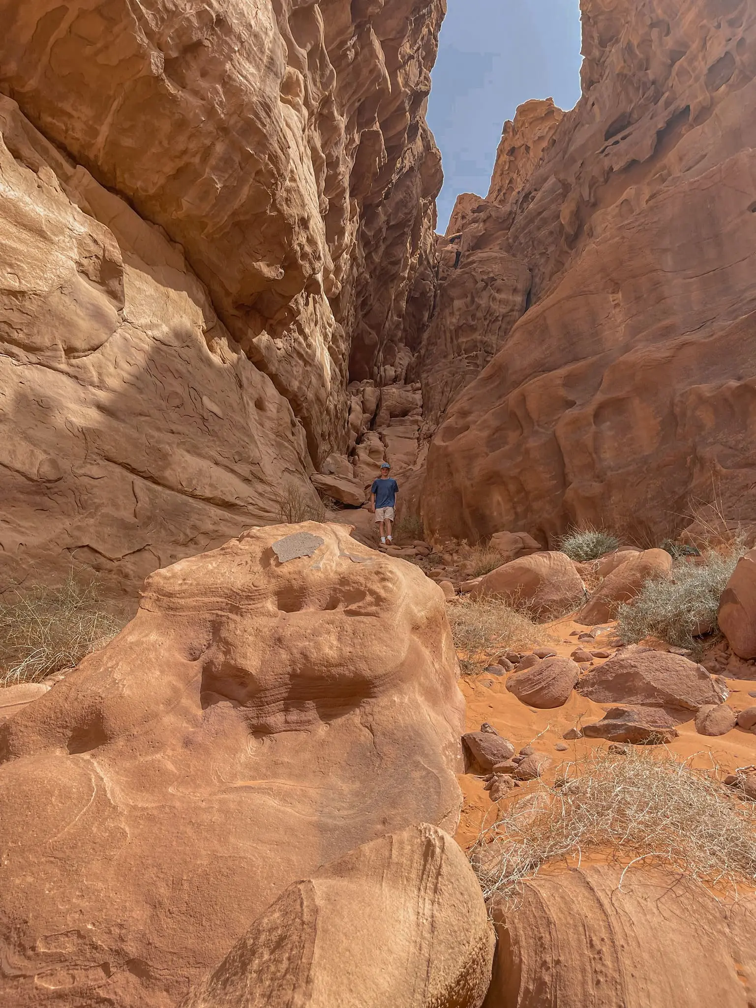 planning a trip to the middle east, where to go in the middle east, how to plan a trip to the middle east, Jordan, Jordan Desert, erin busbee, busbee style, busbee family travels, Jordan Desert trip, explore jordan desert, camel rides in jordan desert, wadi rum, Valley of the moon