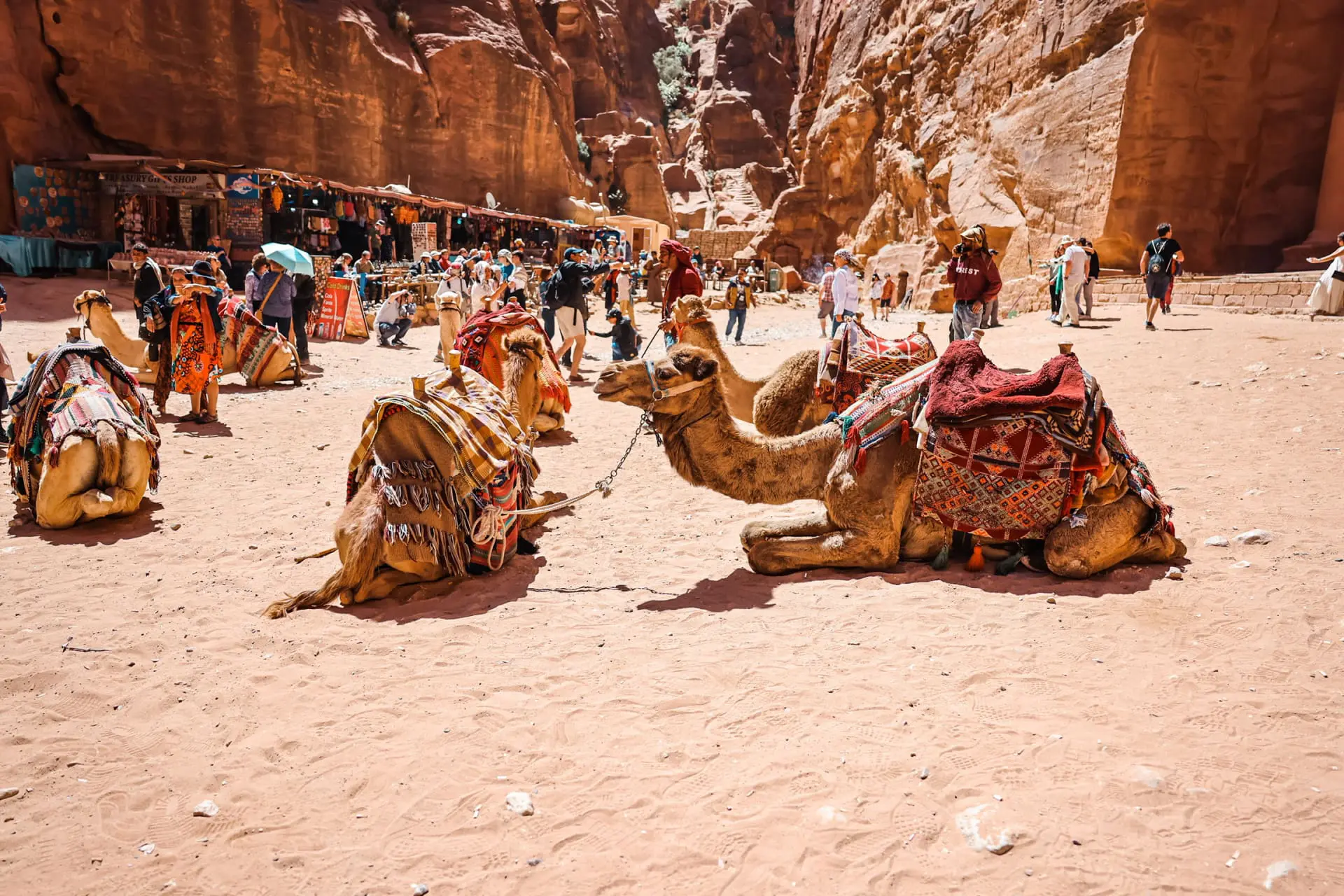 planning a trip to the middle east, where to go in the middle east, how to plan a trip to the middle east, Jordan, erin busbee, busbee style, busbee family travels, jordan trip, petra trip, petra, lost city