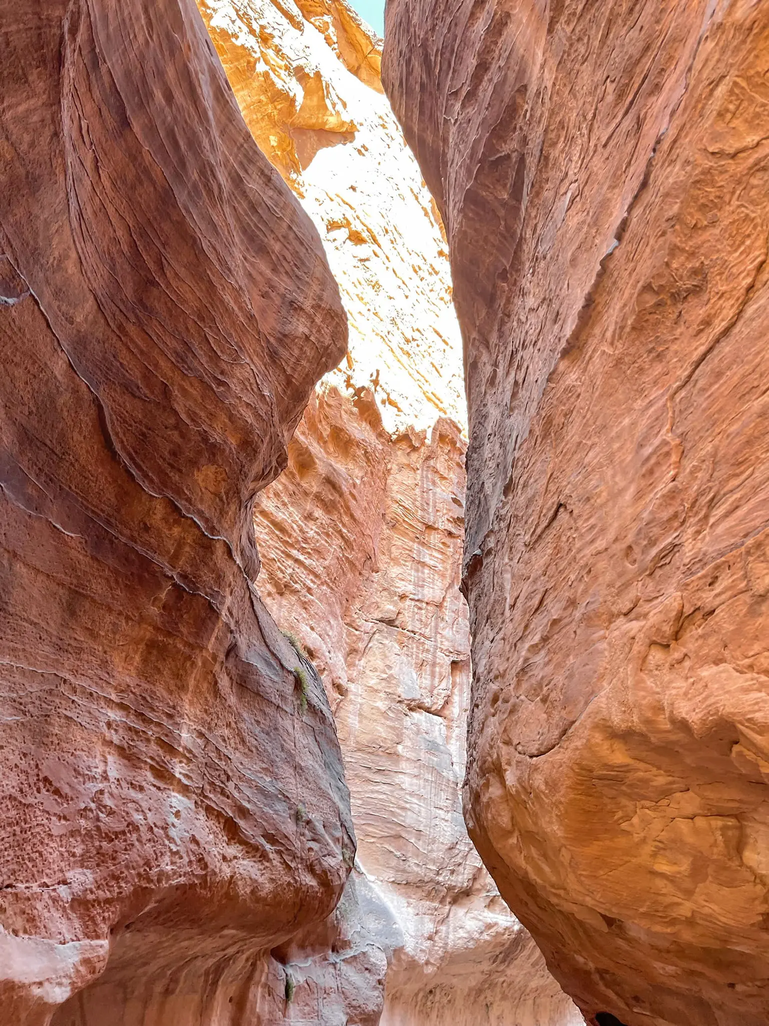 planning a trip to the middle east, where to go in the middle east, how to plan a trip to the middle east, Jordan, erin busbee, busbee style, busbee family travels, jordan trip, petra trip, petra, lost city