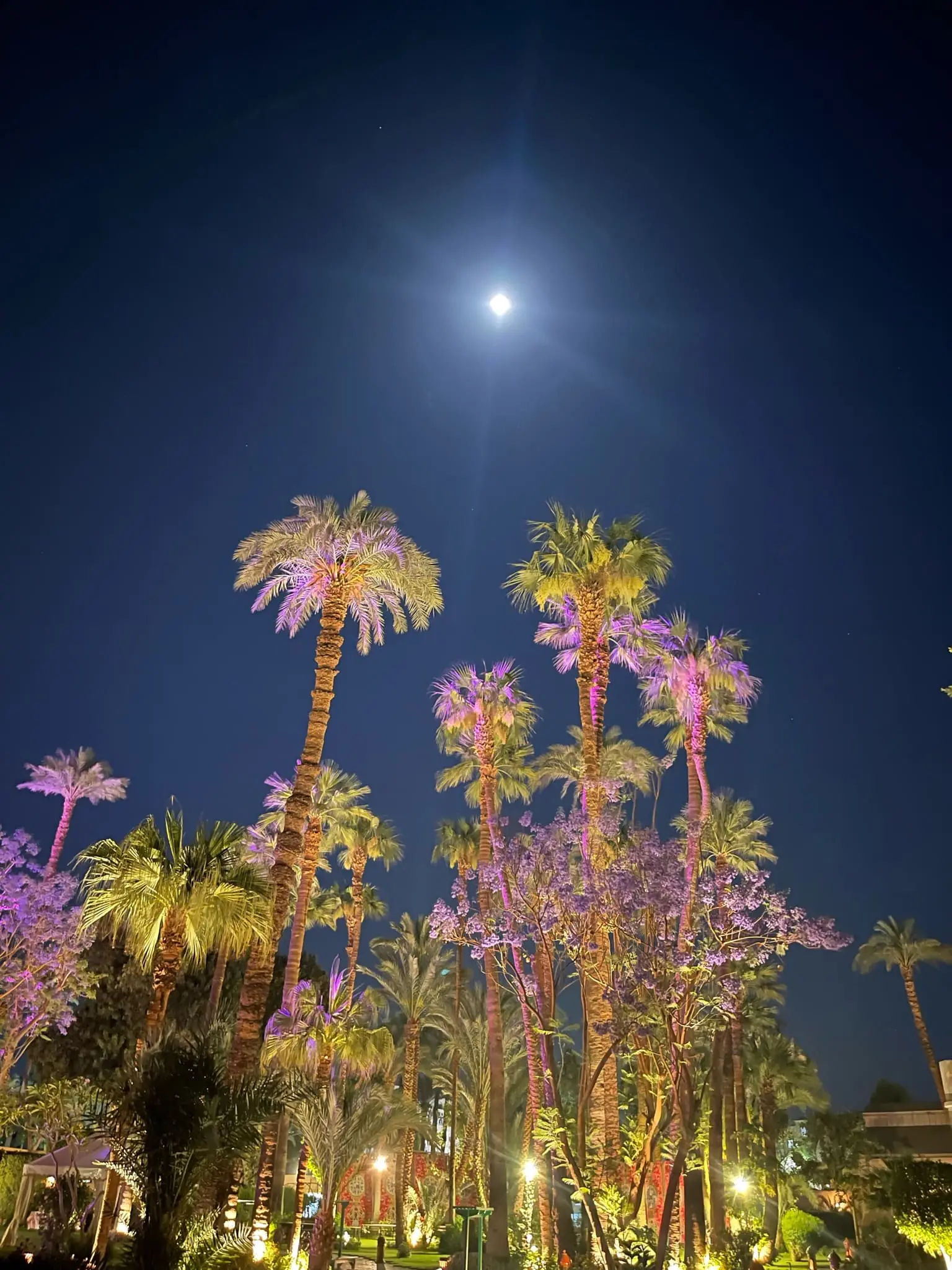 planning a trip to the middle east, where to go in the middle east, how to plan a trip to the middle east, Luxor, Egypt, erin busbee, busbee style, busbee family travels, what to do in luxor