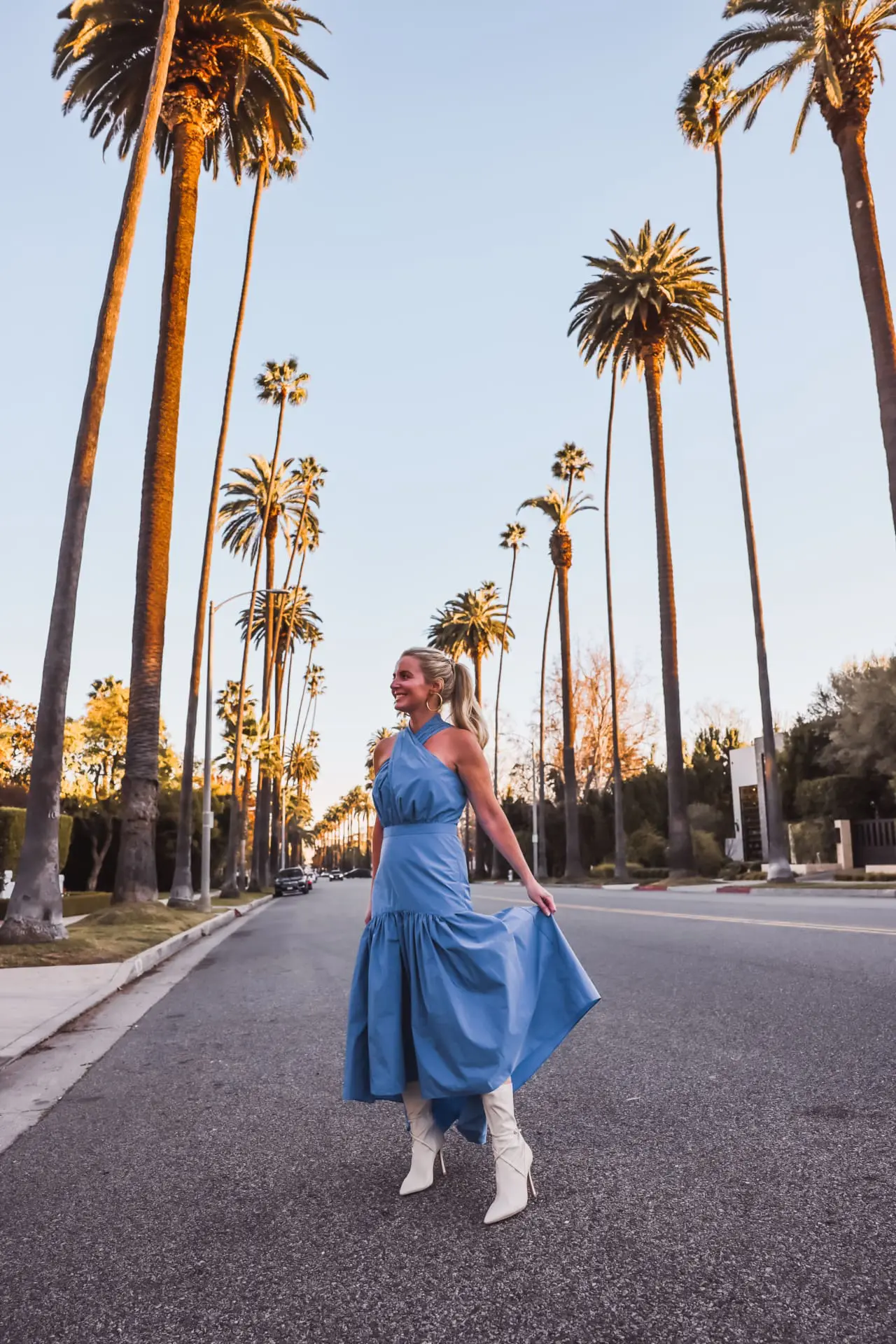 Veronica Beard Blue Radley Dress