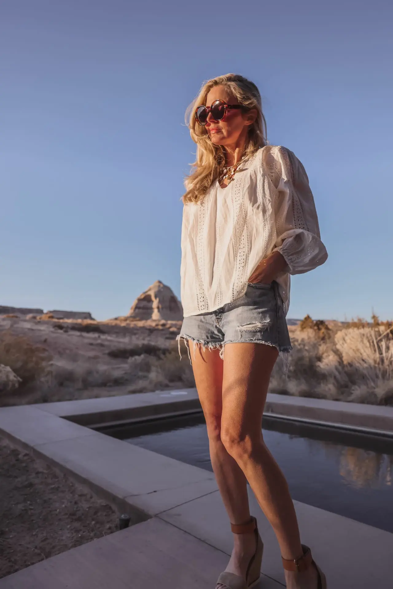 Velvet Jordyn Blouse with Denim Shorts