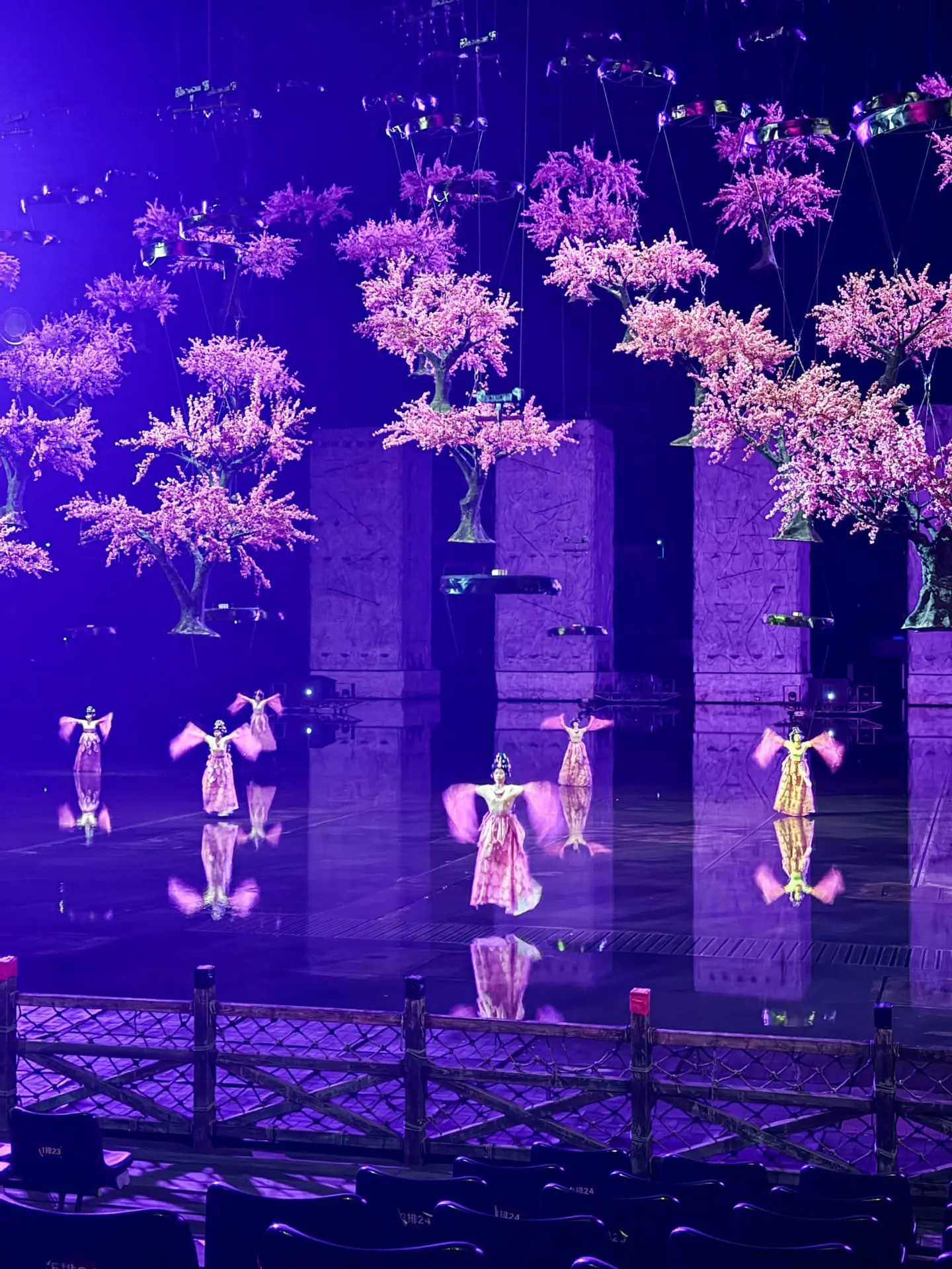 Chinese traditional show