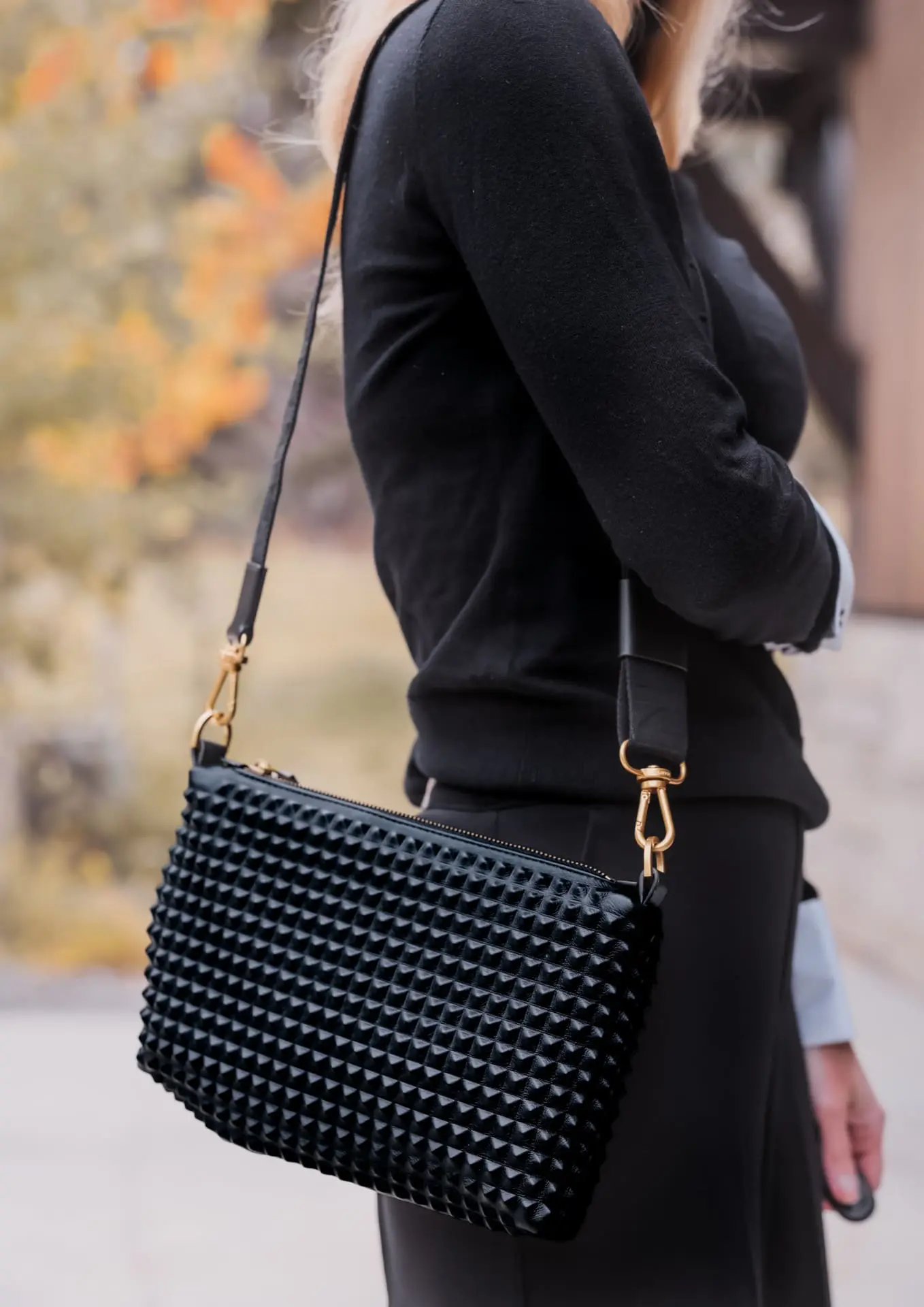 studded bag