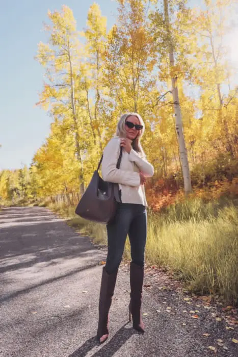 Madewell tote in brown with brown suede knee high boots by Schutz