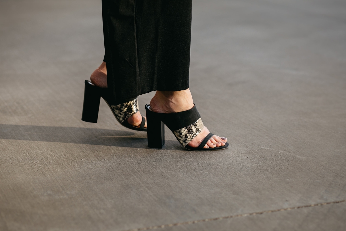 Black-and-python-slides-by-m-gemi