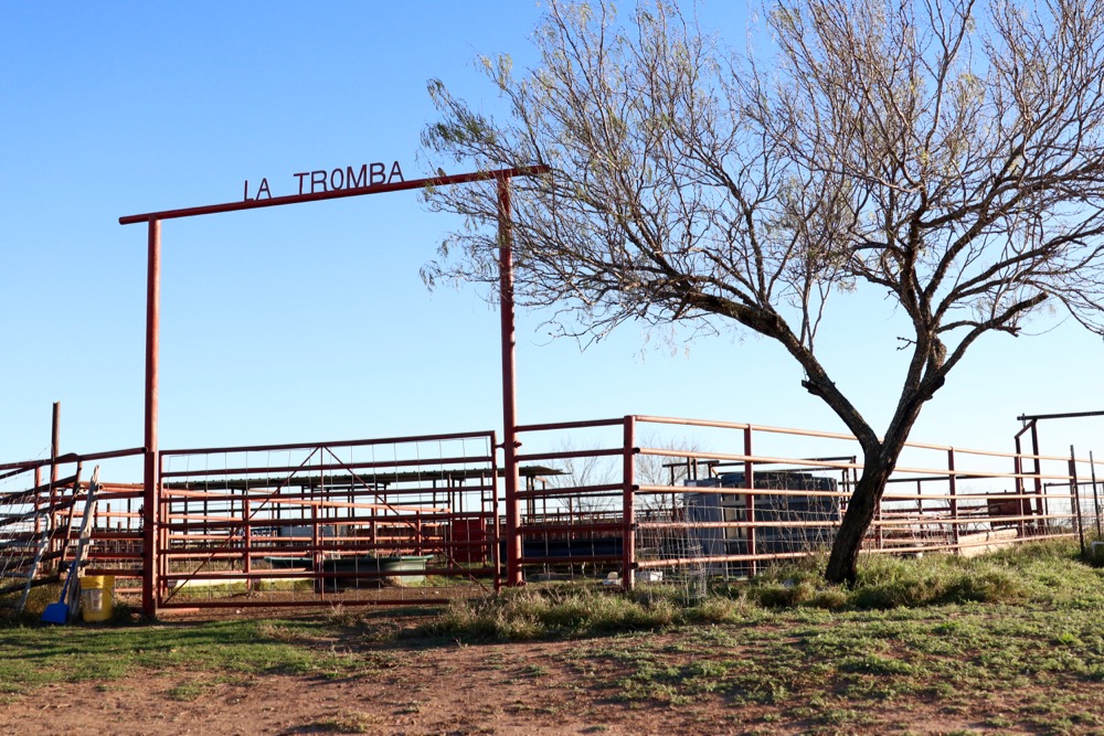 south texas cattle ranch near mexico