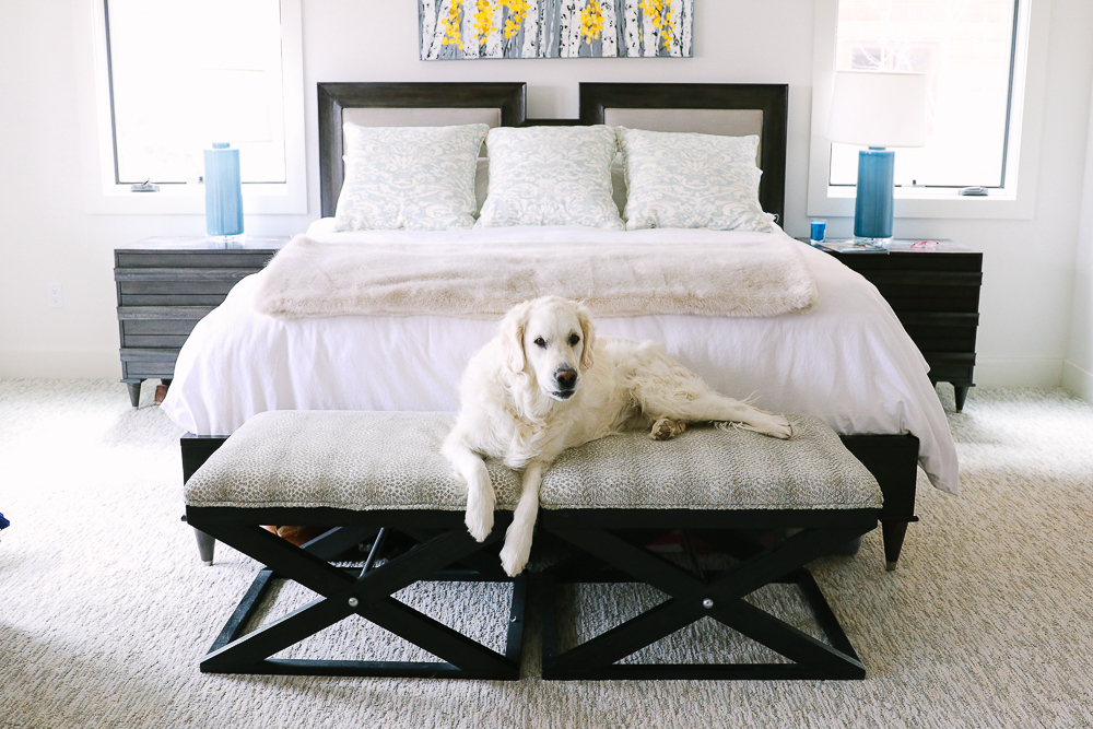 white golden retriever lying on the bench at the foot of the king bed with a linen and solid wood headboard in a modern mountain home