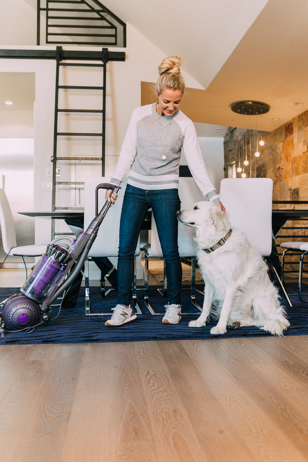 best vacuum for pet hair by Dyson