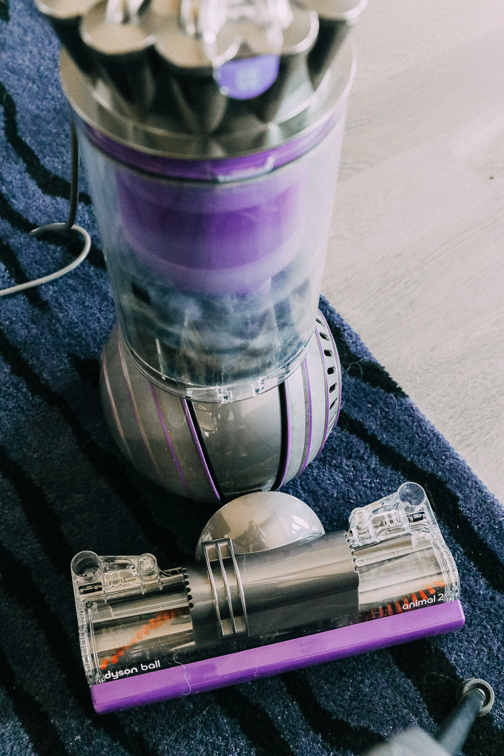 best vacuum for pet hair by Dyson