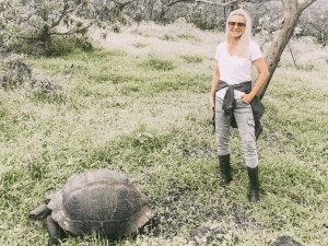 Amazing trip to the Galapagos Islands 2018 giant tortoises at the Galapagos