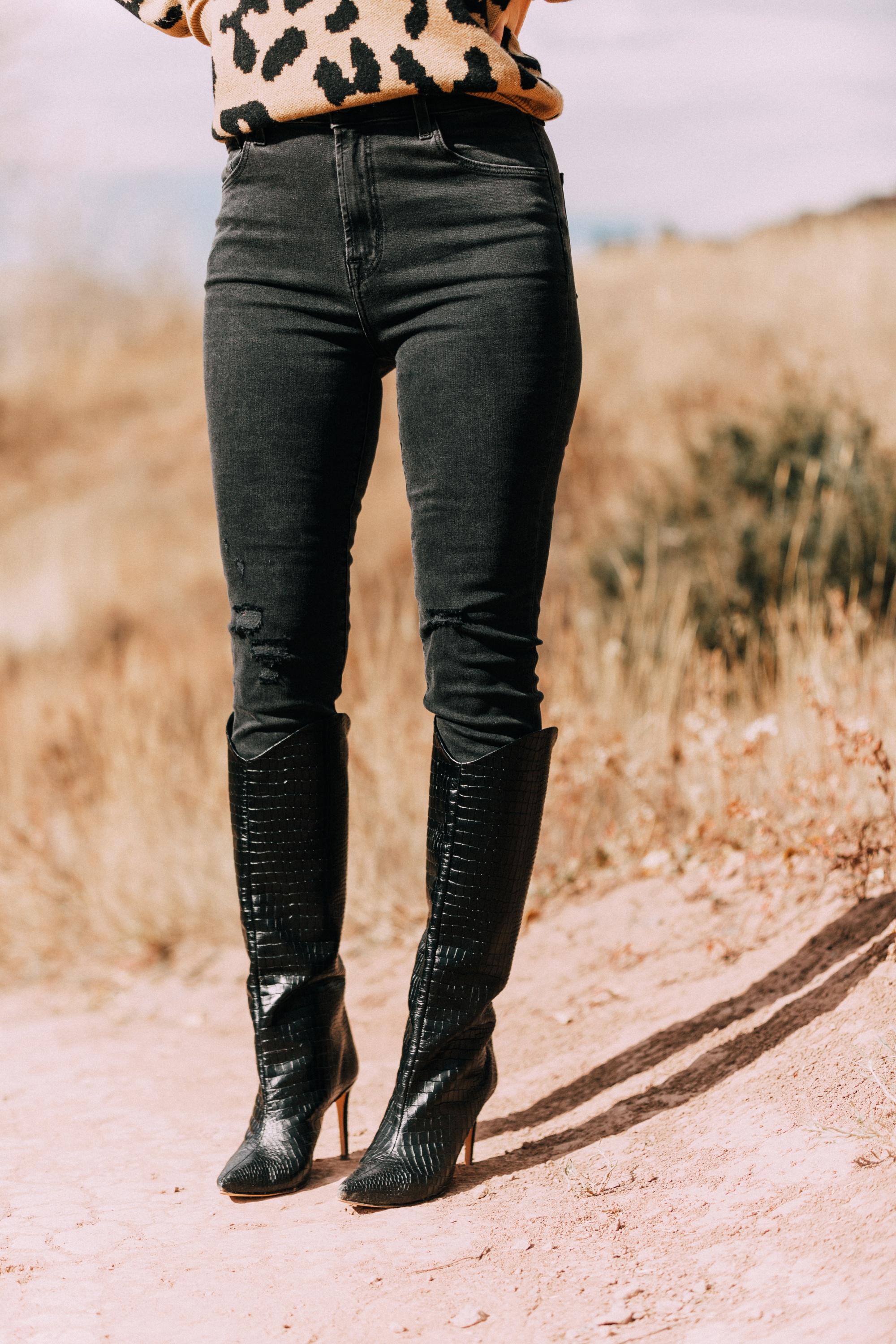 Schutz Maryana black Snake embossed heeled stiletto knee high Boots with Madeleine Thompson tan leopard print sweater