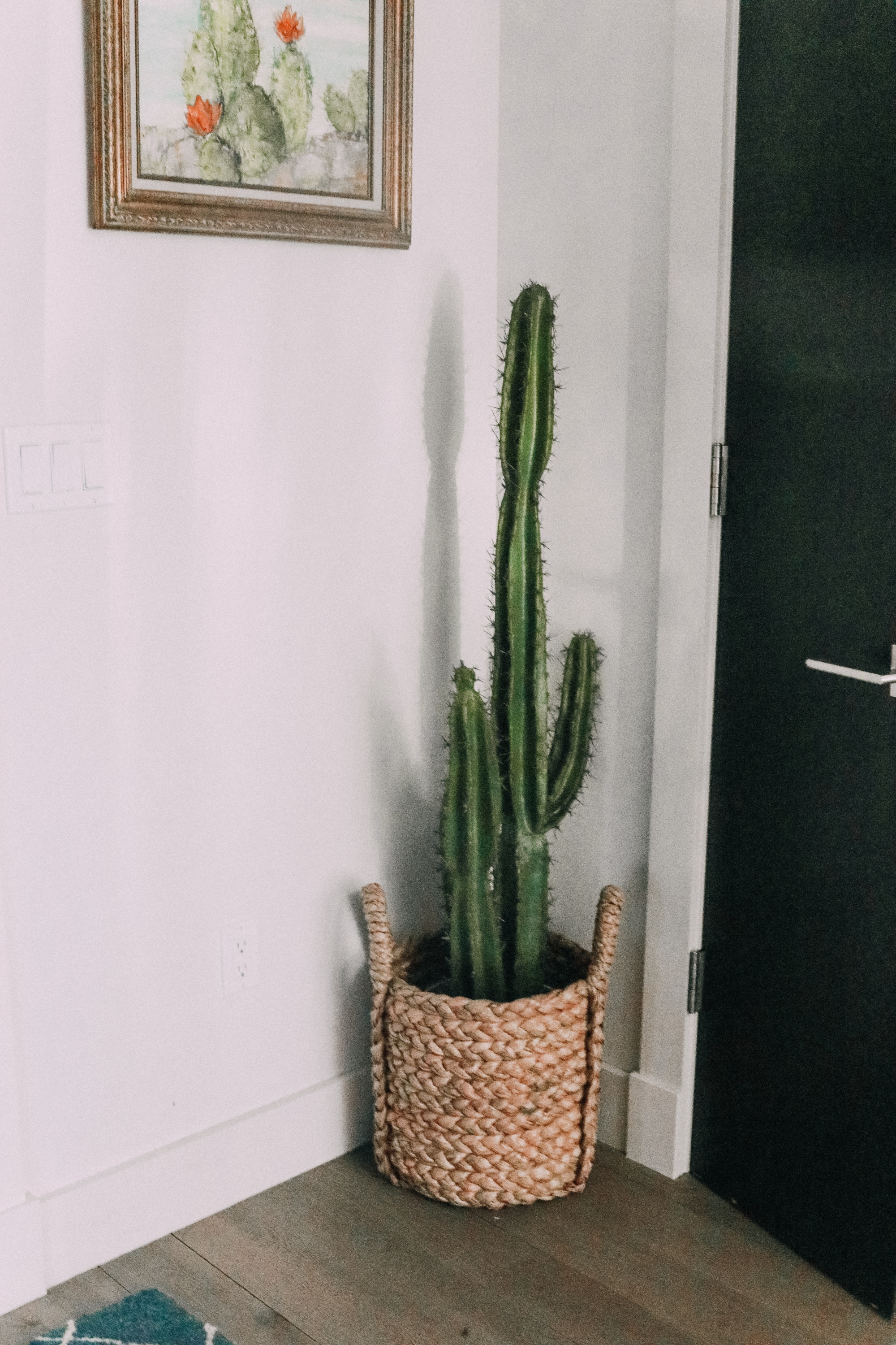 best artificial indoor plants, faux cactus plant in woven basket by front door
