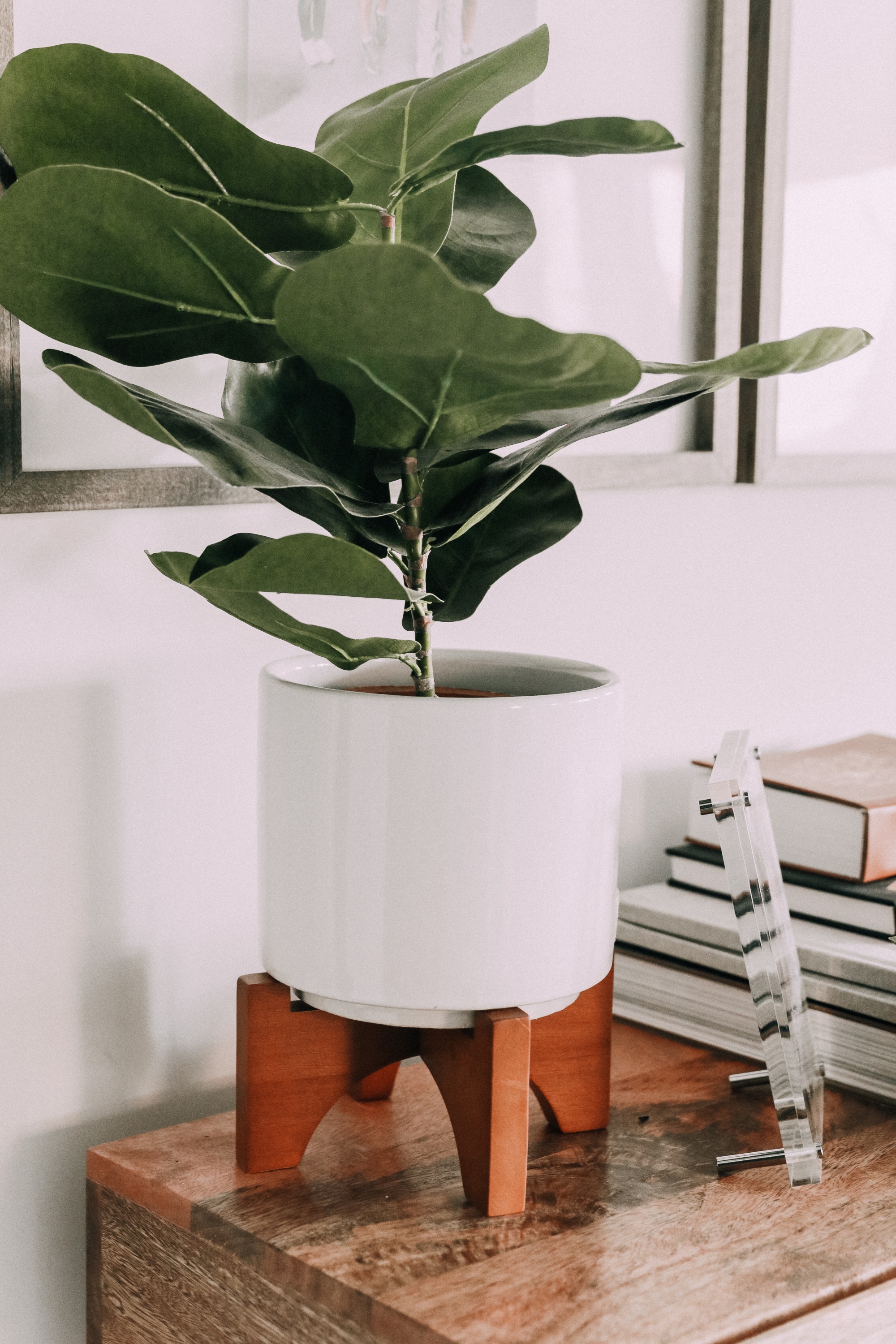 best artificial indoor plants, real-looking faux fiddle leaf fig tree in white planter