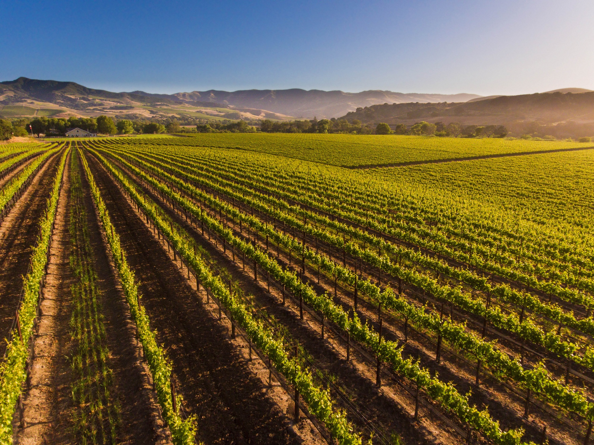 Best remote destinations, picturesque, agricultural vineyard in Santa Ynez Valley California