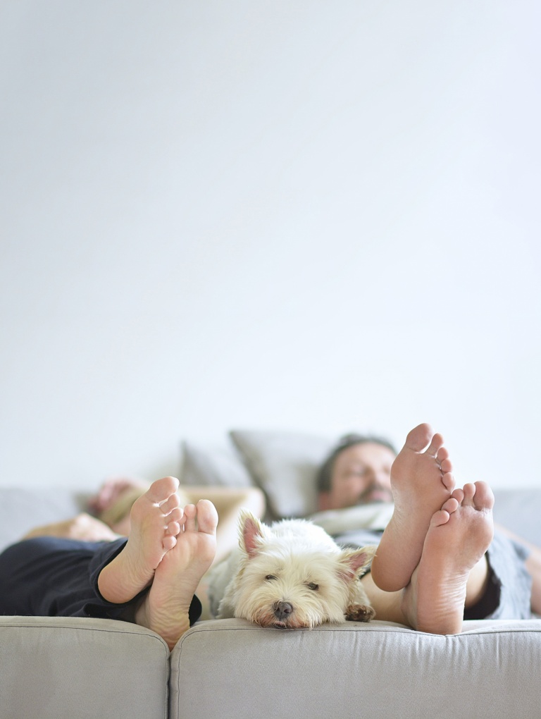 dogs save empty nesters, relaxed couple at home lying on the sofa with their dog at their feet
