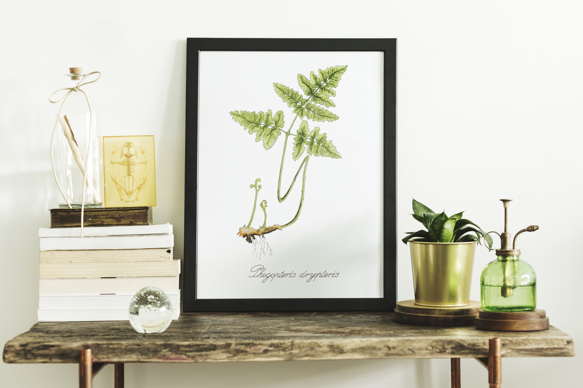 How to elegantly style your console table with natural elements, books, plants and a framed photo styled