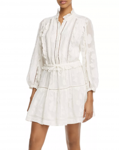 Joie Burnout Ruffle Mini Dress product image