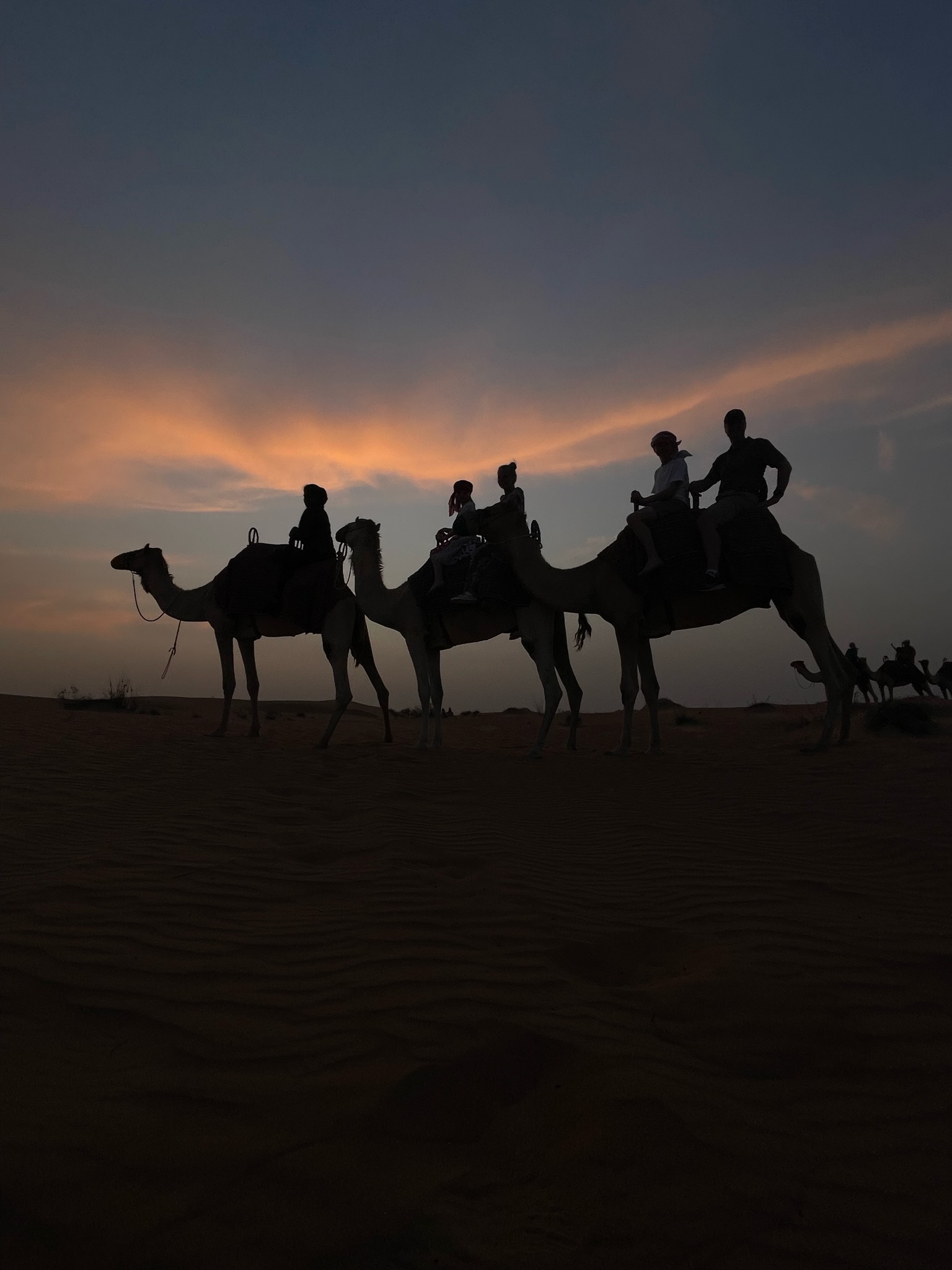 planning a trip to the middle east, where to go in the middle east, how to plan a trip to the middle east, dubai, united arab emirates, UAE, erin busbee, busbee style, busbee family travels, desert safari, platinum heritage desert safari, riding camels in desert